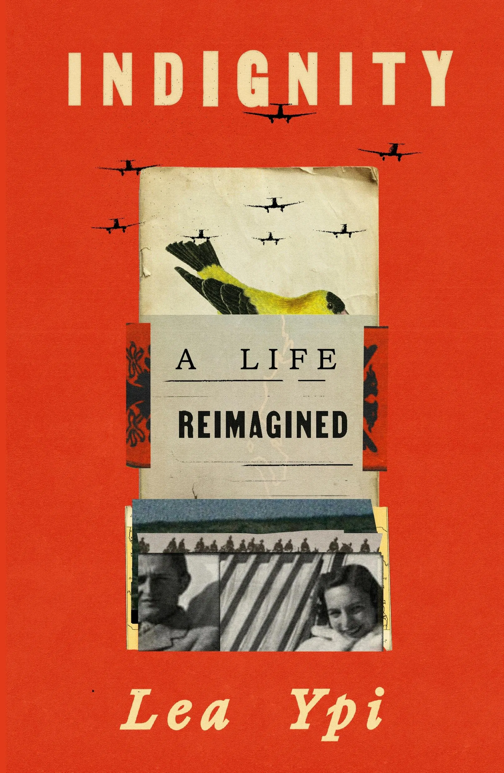 Indignity: A Life Reimagined
